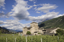 Italy, Valle d'Aosta, Saint Pierre, Sarriod de la Tour Castle surrounded by vines.