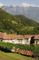 Italy, Lombardy, Lake Garda, Tremosine.