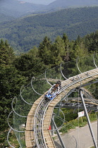 Italy, Piemonte, Lake Maggiore, Monte Mottarone, luge ride.