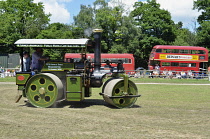 Transport, Road, Steam  Traction, Rally at Tinkers Park near Uckfield.