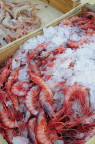 Italy, Liguria, Genoa, Porto Antico, Mediterranean gamberi rosso, red prawns.