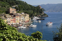 Italy, Liguria, Portofino, waterside view of colourful houses & bay with boats.