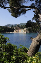 Italy, Liguria, Portofino Peninsula, colourful houses & waterfront near Portofino.