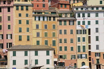 Italy, Liguria, Camogli, colourful houses in the harbour at Camogli.