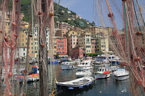 Italy, Liguria, Camogli, harbour with fishing boats & nets.