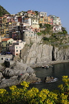 Italy, Liguria, Cinque Terre, Manarola clinging to the cliffs.