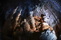 France, Lozere, Meyruis, Cevennes National Park, Aven Armand subterranean cavern near Meyruis, First explored in 1897 by Louis Armand and Edouard-Alfred Martel, Original access through 75M pit, now vi...