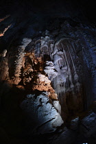 France, Lozere, Meyruis, Cevennes National Park, Aven Armand subterranean cavern near Meyruis, First explored in 1897 by Louis Armand and Edouard-Alfred Martel, Original access through 75M pit, now vi...