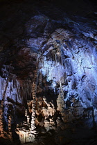 France, Lozere, Meyruis, Cevennes National Park, Aven Armand subterranean cavern near Meyruis, First explored in 1897 by Louis Armand and Edouard-Alfred Martel, Original access through 75M pit, now vi...