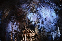 France, Lozere, Meyruis, Cevennes National Park, Aven Armand subterranean cavern near Meyruis, First explored in 1897 by Louis Armand and Edouard-Alfred Martel, Original access through 75M pit, now vi...