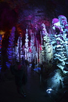 France, Lozere, Meyruis, Cevennes National Park, Aven Armand subterranean cavern near Meyruis, First explored in 1897 by Louis Armand and Edouard-Alfred Martel, Original access through 75M pit, now vi...