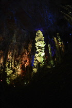 France, Lozere, Meyruis, Cevennes National Park, Aven Armand subterranean cavern near Meyruis, First explored in 1897 by Louis Armand and Edouard-Alfred Martel, Original access through 75M pit, now vi...