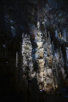 France, Lozere, Meyruis, Cevennes National Park, Aven Armand subterranean cavern near Meyruis, First explored in 1897 by Louis Armand and Edouard-Alfred Martel, Original access through 75M pit, now vi...