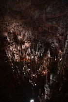 France, Lozere, Meyruis, Cevennes National Park, Aven Armand subterranean cavern near Meyruis, First explored in 1897 by Louis Armand and Edouard-Alfred Martel, Original access through 75M pit, now vi...