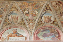 Italy, Lombardy, Pavia, Ornately painted ceiling detail.