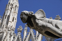 Italy, Lombardy, Milan, gargoyle detail, Duomo.