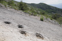 Italy, Trentino Alto Adige, Rovereto, Dinosaur footprints, Piste de Dinosauri.