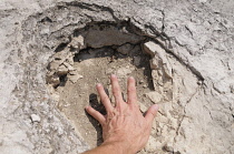 Italy, Trentino Alto Adige, Rovereto, Dinosaur footprint with hand, Piste de Dinosauri.