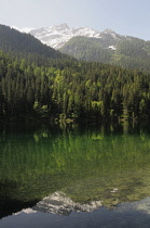 Italy, Trentino Alto Adige, Adamello Brenta Natural Park, lake Tovel with the Brenta Dolomites.
