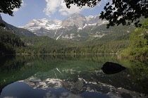 Italy, Trentino Alto Adige, Adamello Brenta Natural Park, lake Tovel with the Brenta Dolomites.