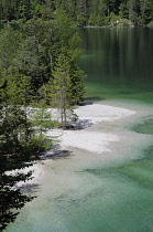 Italy, Trentino Alto Adige, Adamello Brenta Natural Park, Lake Tovel.