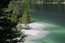 Italy, Trentino Alto Adige, Adamello Brenta Natural Park, Lake Tovel.