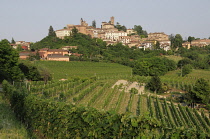 Italy, Piedmont, Langhe, village of Nieve with vineyards.