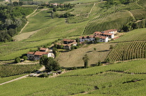 Italy, Piedmont, Langhe, views across landscape of Langhe region from Al Morro.