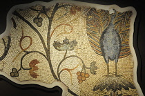 Italy, Friuli Venezia Giulia, Aquileia, peacock mosaic detail.