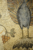 Italy, Friuli Venezia Giulia, Aquileia, peacock mosaic detail.