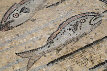 Italy, Friuli Venezia Giulia, Aquileia, mosaic detail of fish.