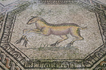 Italy, Friuli Venezia Giulia, Aquileia, stag detail, mosaic.
