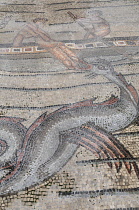 Italy, Friuli Venezia Giulia, Aquileia, mosaic detail of Jonah & the Whale.