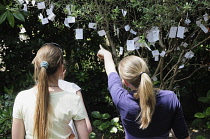 Italy, Veneto, Venice, Peggy Guggenheim Collection, garden with Yoko Ono's Wish Tree Venice 2003.