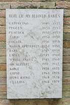 Italy, Veneto, Venice, Peggy Guggenheim Collection, Peggy's dogs headstone.