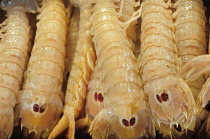 Italy, Veneto, Venice, Rialto fish market, Shellfish display in covered market.