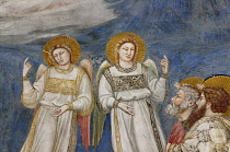 Italy, Veneto, Padua, Capella degli Scrovegni, Giotto fresco detail of Angels.