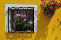 Italy, Veneto, Venice, Burano, colourful window detail.