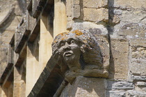 England, Worcestershire, Evesham, Medieval gargoyle on church.