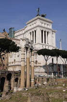 Italy, Lazio, Rome, Foro Romano, ruins at the  base of Capitoline Hill.