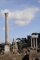 Italy, Lazio, Rome, Roman Forum, Foro Romano, Column of Phocas.