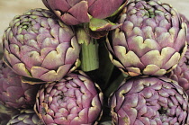 Italy, Lazio, Rome, Monti, artichokes.