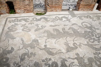 Italy, Lazio, Ostia Antica, mosaics from the Baths of Neptune.