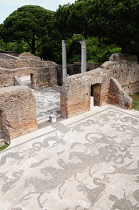 Italy, Lazio, Ostia Antica, mosaics from the Baths of Neptune.