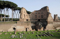 Italy, Lazio, Rome, The Palatine, Baths of Septimus Severus.