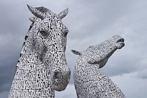 Scotland, Fakirk, The 2013 Kelpies Sculpture by Andy Scott in the Helix parkland project by the Forth and Clyde Canal.