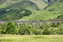 Scotland, Highlands Lochaber, Glenfinnan Railway Viaduct.