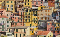 Italy, Liguria, Cinque Terre, Manarola, A section of the town's colourful housing bathed in evening sunshine as viewed from Punta Bonfiglio opposite.
