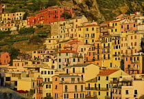 Italy, Liguria, Cinque Terre, Manarola, A section of the town's colourful housing bathed in evening sunshine as viewed from Punta Bonfiglio opposite.