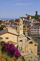 Italy, Liguria, Cinque Terre, Vernazza, view of the Church of Santa Margherita di Antiochia and Castello Doria with its Belforte Tower from high up on the Sentiero Azzurro or Blue Trail which is the f...